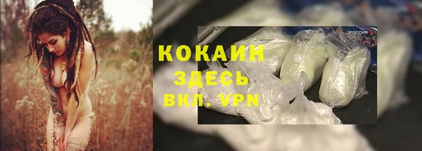 крисы Абинск