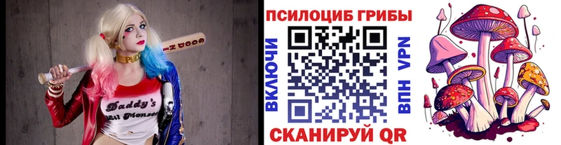 Псилоцибиновые грибы ЛСД  Лодейное Поле 